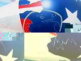 American Eagle3.jpg